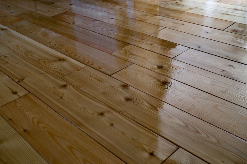 Wide Plank Floor Installation in Tampa, FL